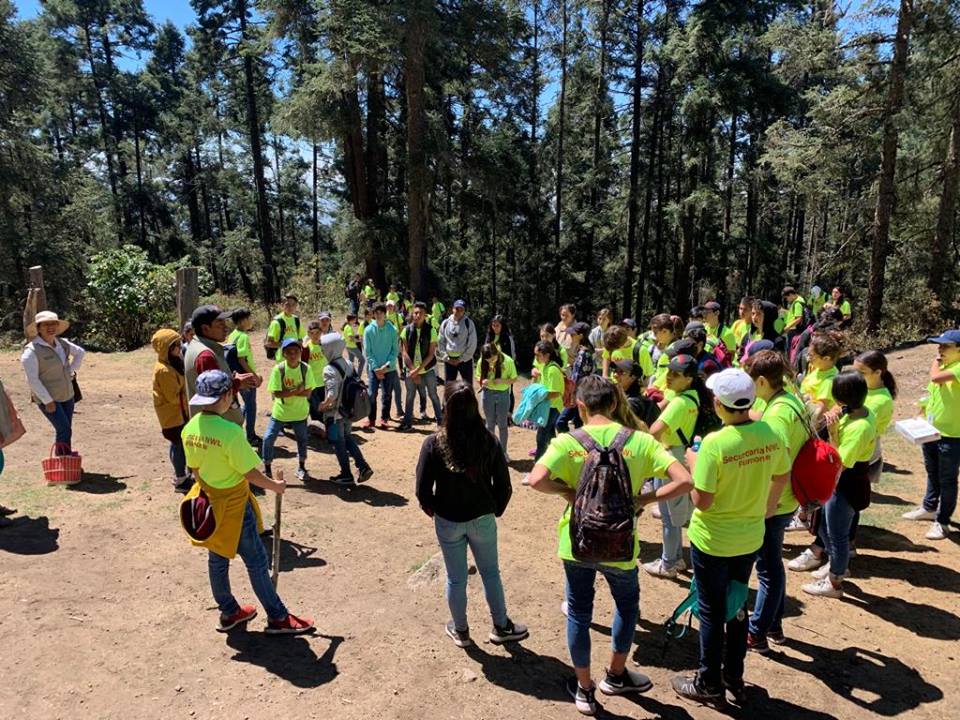 Visita al Santuario de las Mariposas